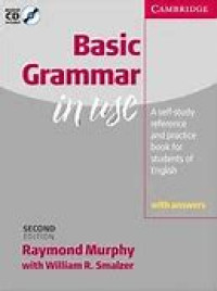Basic Grammar in use : with answers