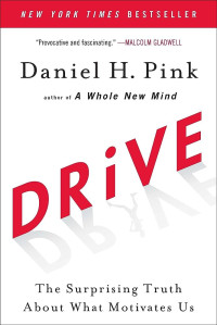Drive: The Surprising Truth About What Motivates Us: