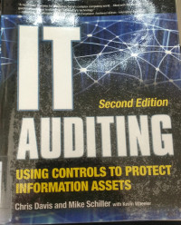 IT Auditing