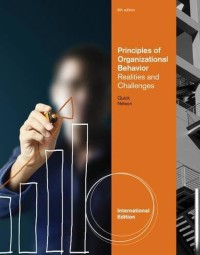 Principles of Organization Behavior: Realities and Challenges