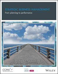 Strategic Business Management: From Planning to Performance